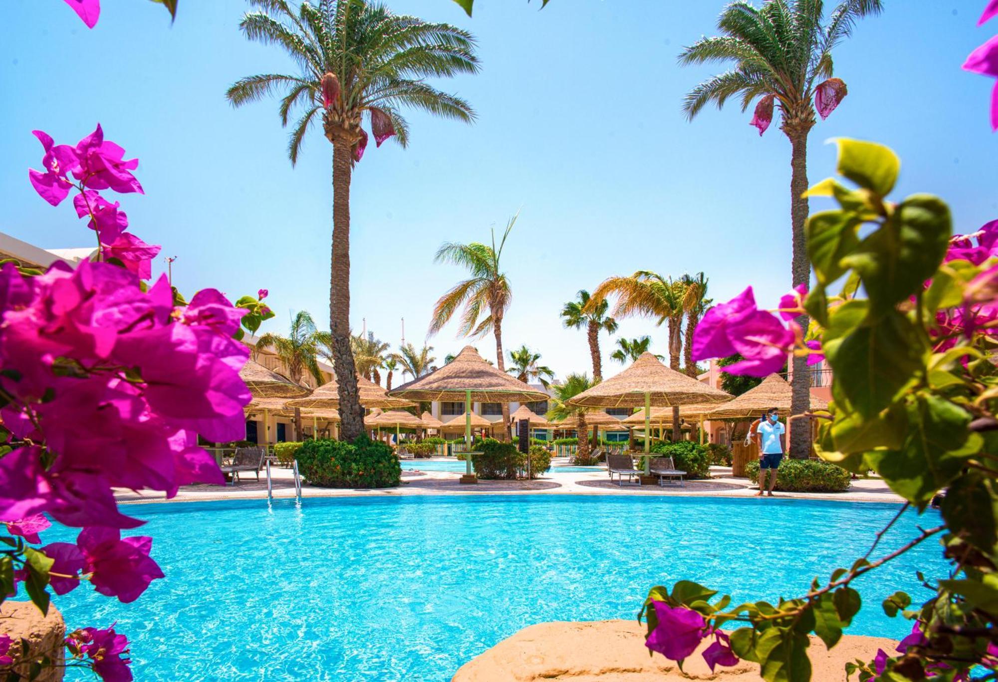ホテル シエラ シャルム エル シェイク シャルム・エル・シェイク エクステリア 写真 A swimming pool at a resort